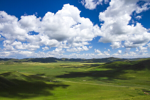 高山草原图片