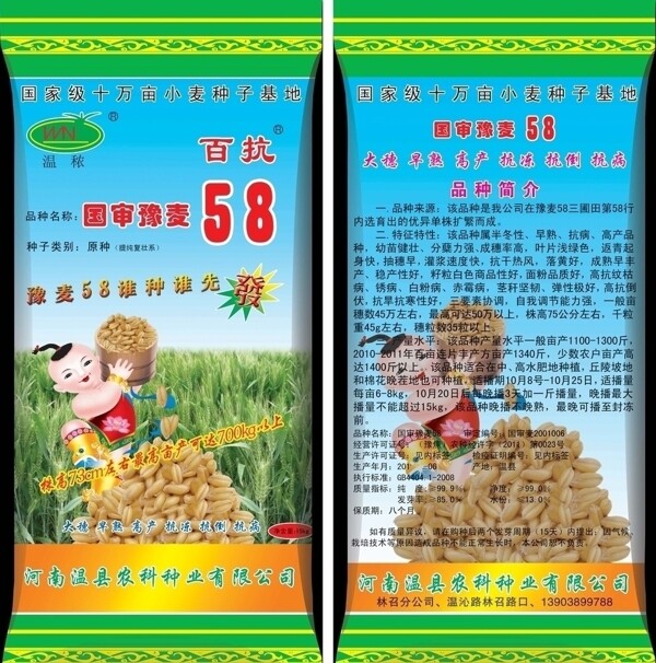 小麦种子包装图片