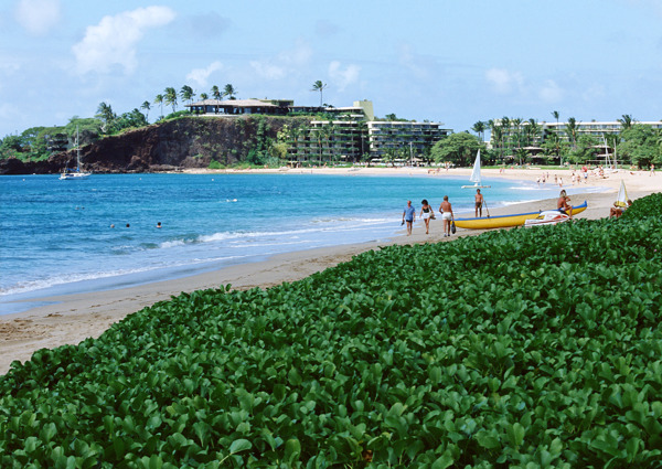 美丽夏威夷沙滩美景图片