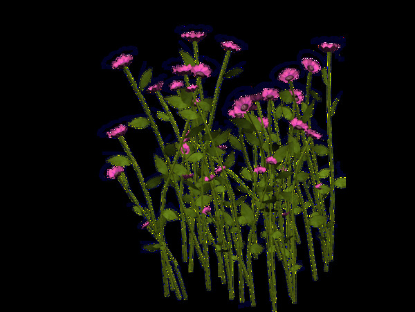 卡通紫色花朵植物png元素