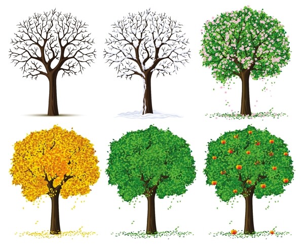 四个季节的树木矢量素材