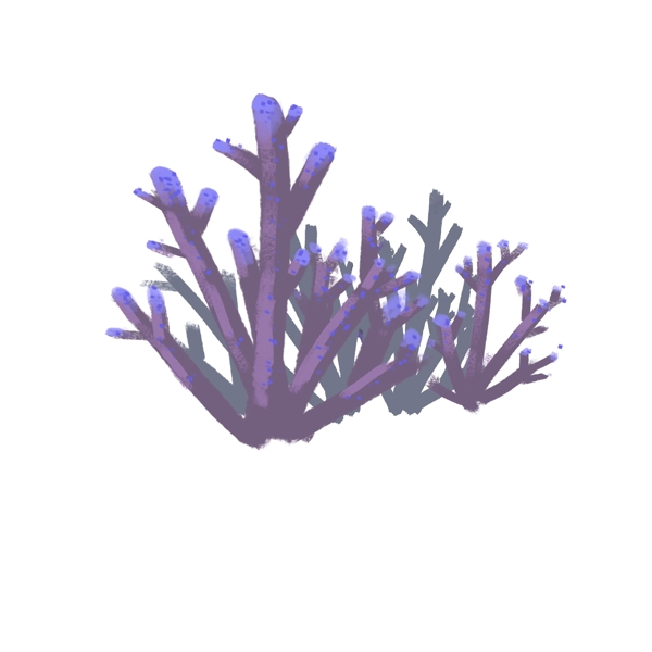 一组紫色珊瑚