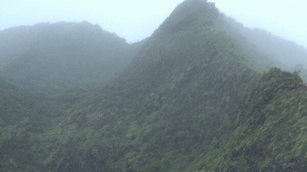 高大的夏威夷山主峰雾2股票的录像视频免费下载