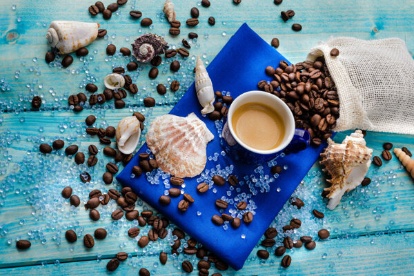 咖啡与扇贝海螺图片