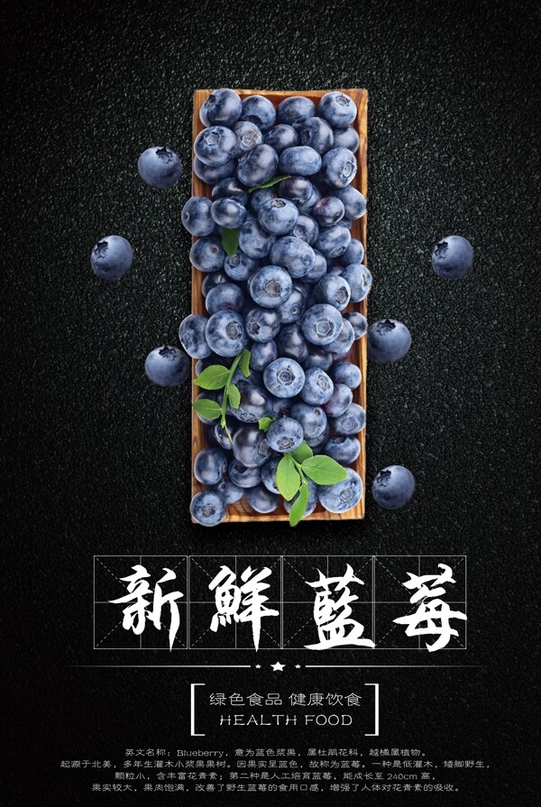 蓝莓水果海报设计