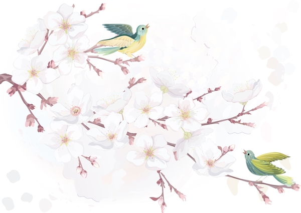 水彩花卉和鸟类矢量素材02