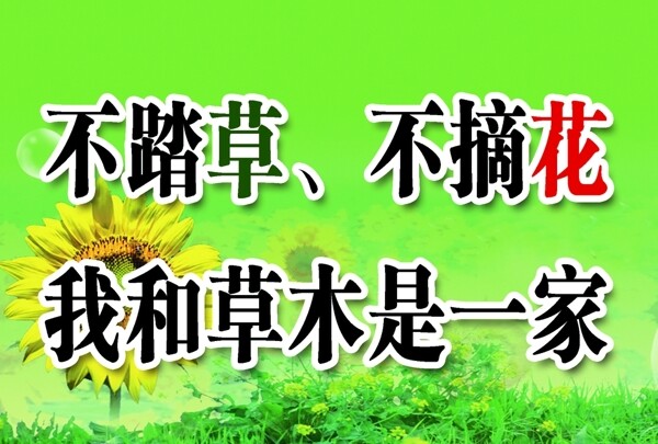 不踏草不摘花