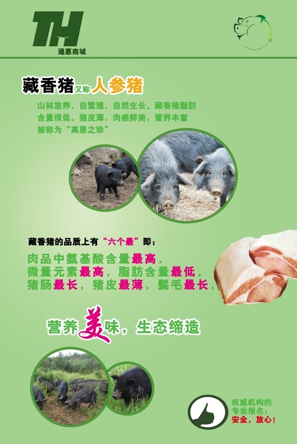 藏香猪海报图片