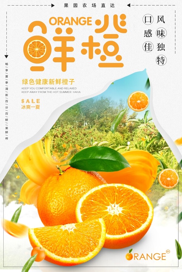 美味鲜橙果园脐橙食品水果海报