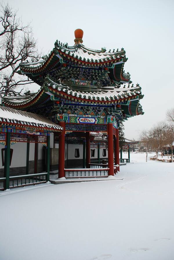 北宁冬雪图片