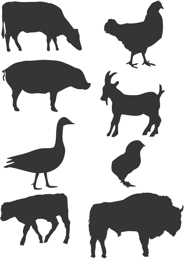 农场动物矢量图