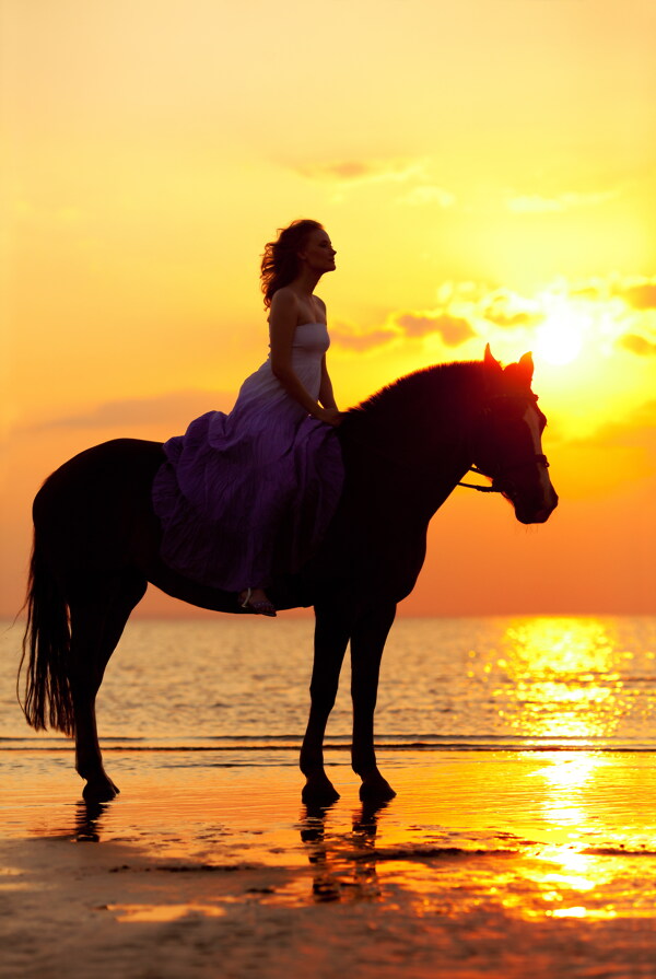 黄昏海边骑马的美女图片