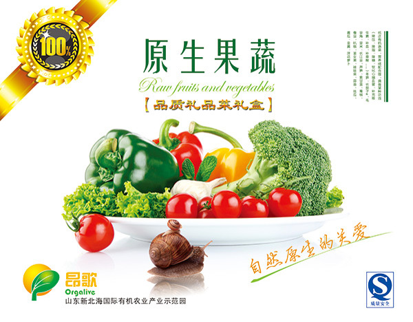 蔬菜水果包装设计PSD