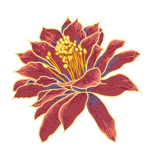 金边热带花卉植物设计可商用元素