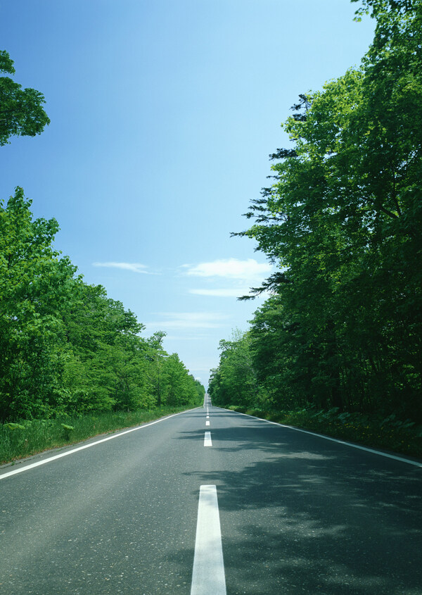 道路风景图片