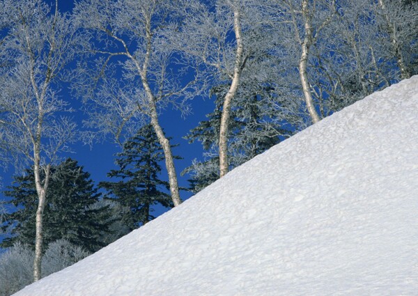 冬天雪景雪景大雪