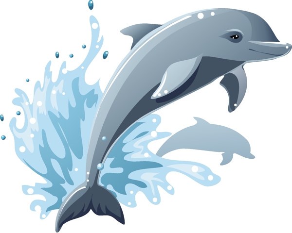海豚矢量素材图片
