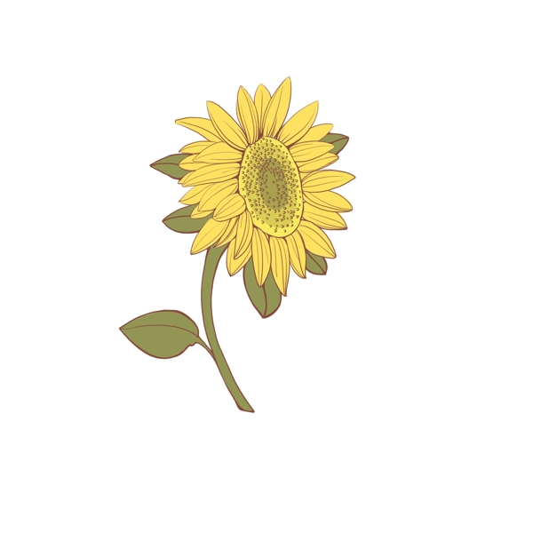 手绘黄色的花向日葵可商用元素