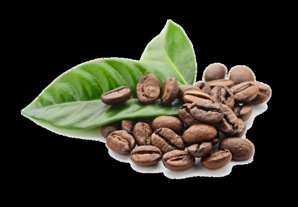 咖啡豆png元素