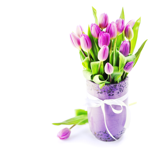 一瓶紫色郁金香花图片