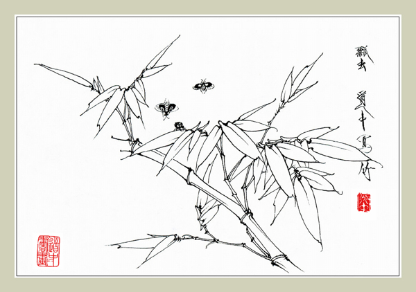 翠竹瓢虫图片