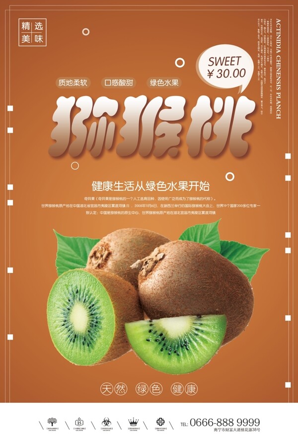 创意猕猴桃水果海报