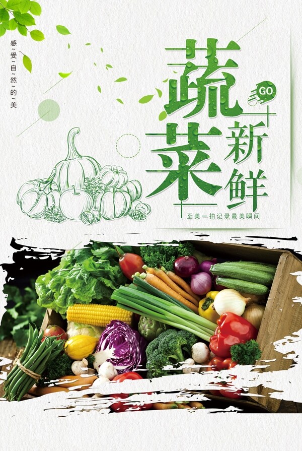 简洁绿色新鲜蔬菜海报图片