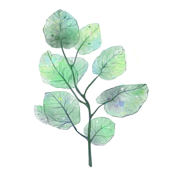 手绘绿色水彩透明树叶