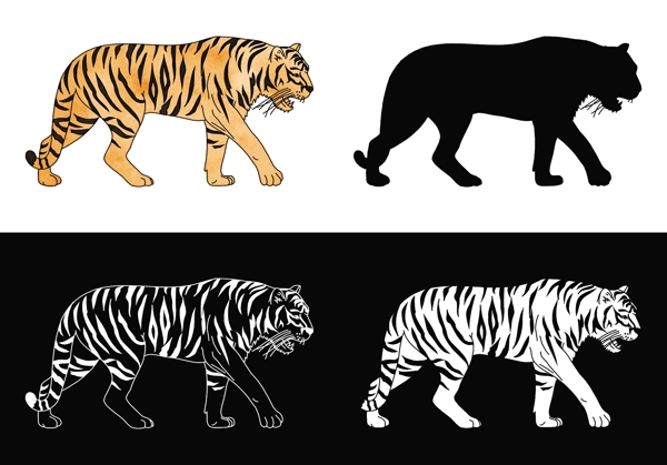 老虎设计图