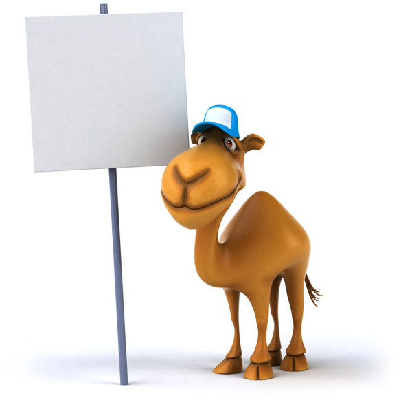 骆驼与广告牌图片