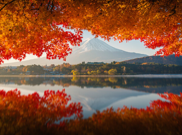 枫叶山水