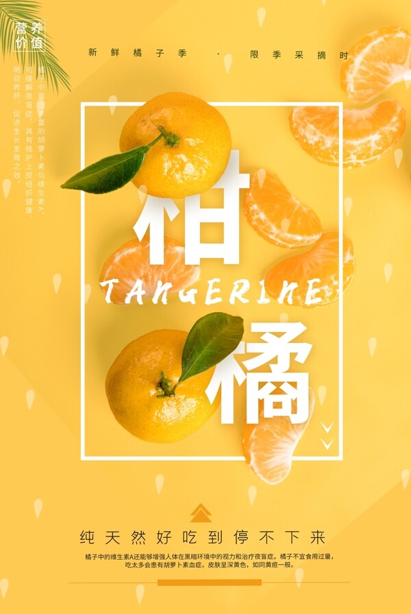 柑橘水果活动宣传海报素材