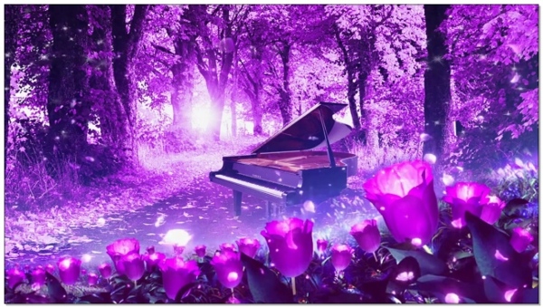 唯美浪漫森林钢琴紫色高端婚礼视频素材