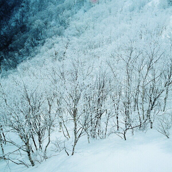 冬天雪景雪景大雪