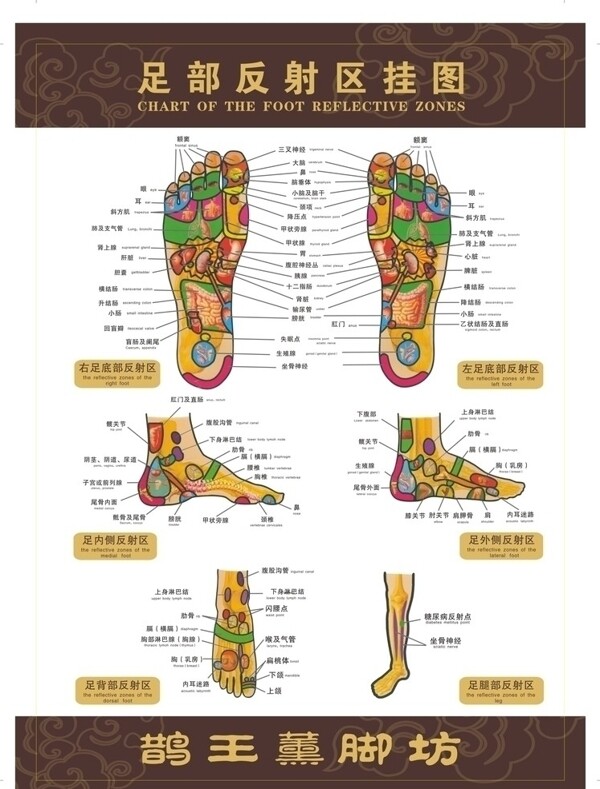 足部穴位图片