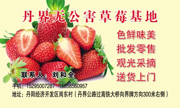 草莓名片图片