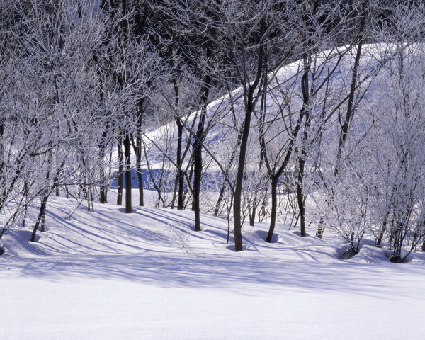 冬天雪景