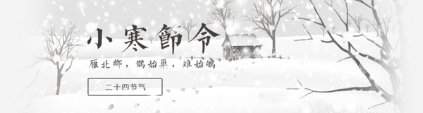 小寒banner二十四节气雪地海报