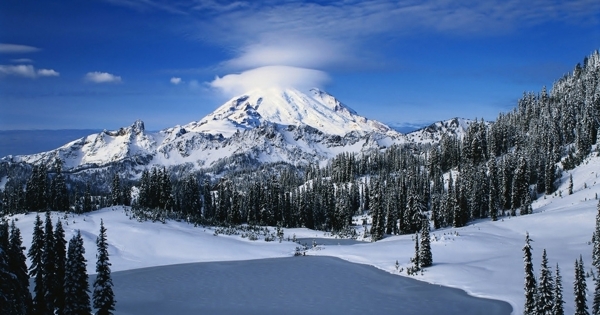 雪山树林图片