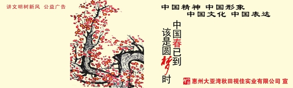 中华文化之春