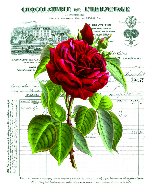 红玫瑰花打印喷绘