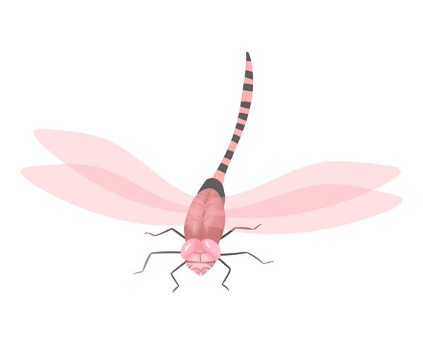 粉色唯美蜻蜓