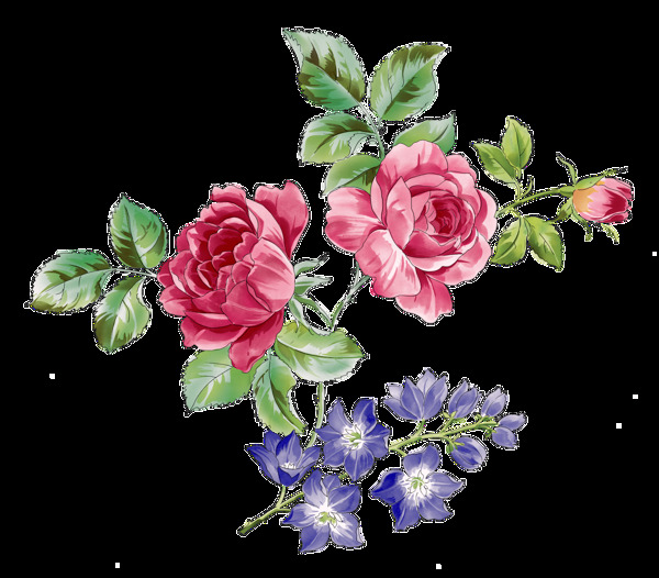 红色玫瑰花枝和紫色花枝透明素材