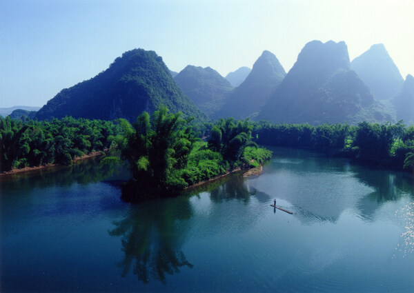 树植物水风景