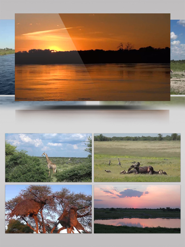 非洲超清大草原国家纳米比亚实拍视频