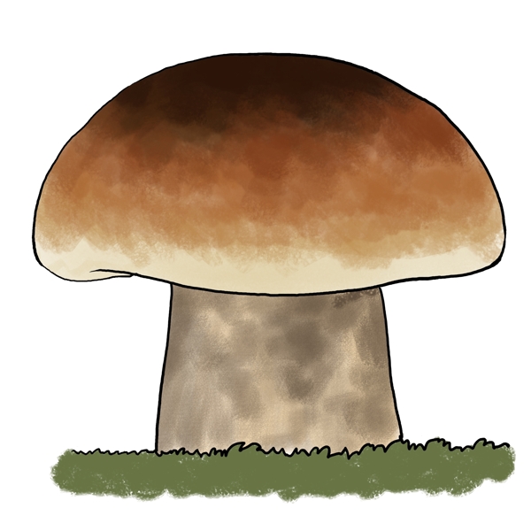 手绘植物菌类褐色蘑菇