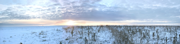 夕阳雪景图片