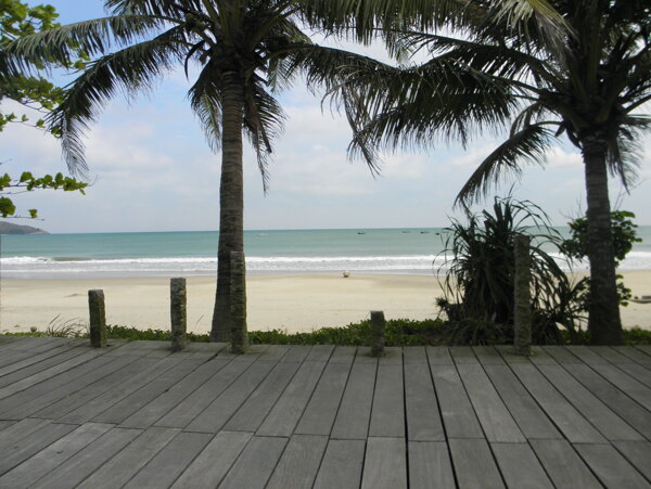 椰树海滩图片