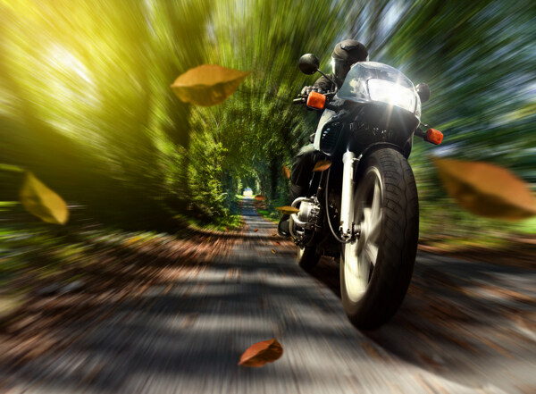 林间骑摩托车的人图片