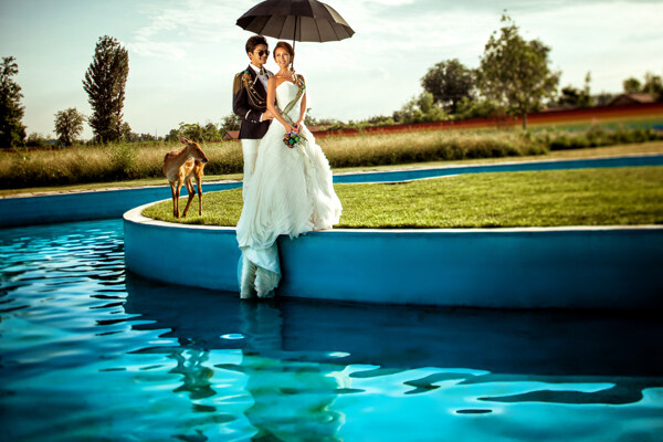 撑伞的婚纱情侣图片